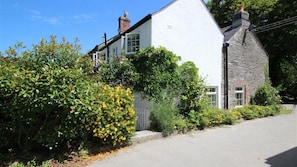 View of Hollyhocks from the lane