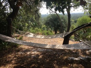 hammocks near heaven