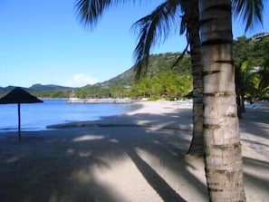 Beach at Dawn