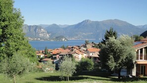 Overview