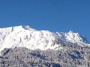 View from the Patio