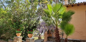 facade and privative garden of 400 m2.