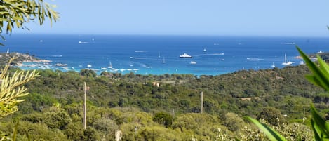 Vista dalla struttura