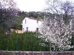 Aussicht auf die Mandelblüte.