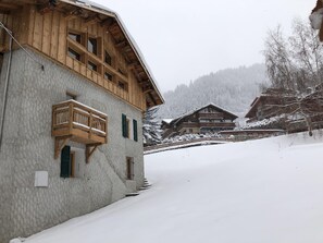 jardin chalet hiver