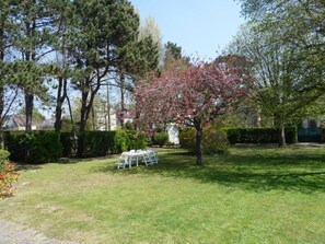Garden, Park