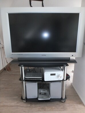 Television