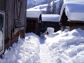 Winter in Mutschnengia