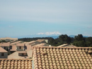 Blick auf den Canigou