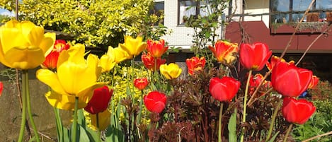 Jardines del alojamiento