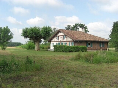 Casa de campo confortable y elegante en medio de pinares claros