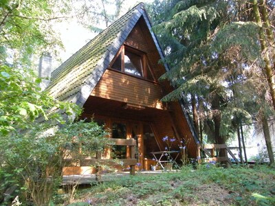 gemütliches Holzhaus in idyllischer Kiefernwaldsiedlung mit nahem Angelgewässer!