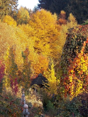 Herbst auf dem Ommertalhof