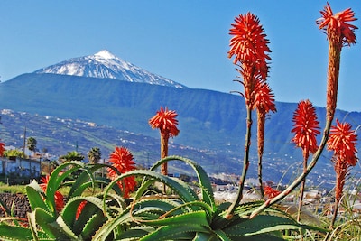 Outstanding  house at the edge of the flourishing Orotava vale