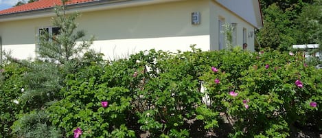 Das Ferienhaus am Südstrand 