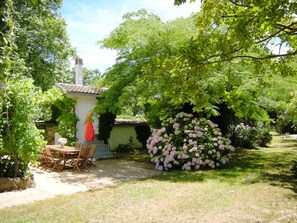 Terrasse au Sud