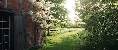 Blick in die Obstbaumwiese