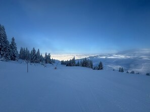 Skidåkning och snöaktiviteter