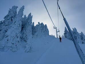 Skidåkning och snöaktiviteter