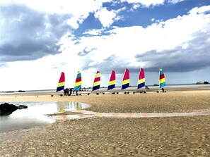 Chars à voile plage Asnelles
- Location bord de mer -