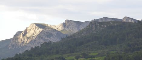 Vue depuis la terrasse de la cuisine. 