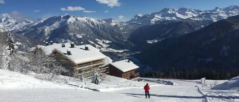 Sneeuw- en skisporten