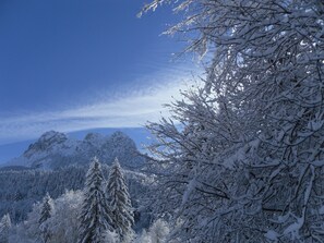 vue de la Dent d Oche