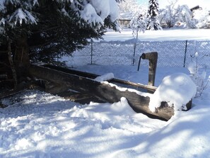 le bassin en hiver