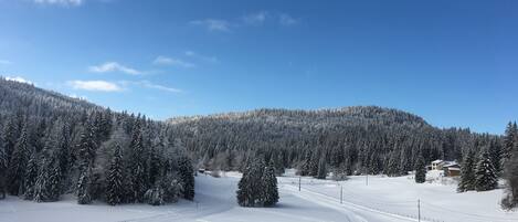 Deportes de invierno