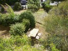 vue sur le jardin