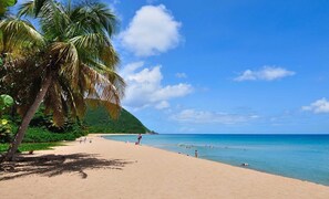 A 350 m de votre gîte, la plage de Grande Anse SANS JAMAIS D' ALGUES.