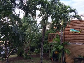 Un coin du jardin tropical de 3000 m2 vu du parking à l'entrée de la propriété 