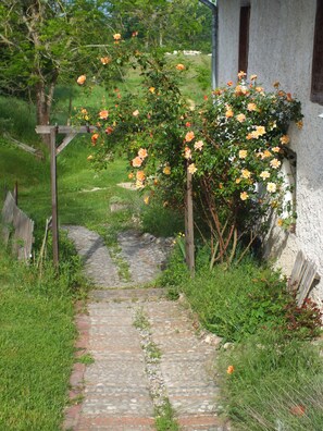 Boendeområde