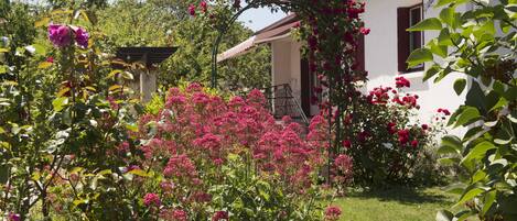 Jardines del alojamiento