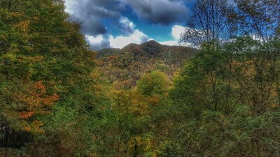 Cozy Cottage in Waynesville, NC