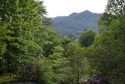 Cozy Cottage in Waynesville, NC