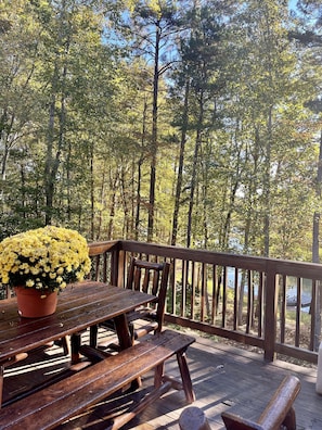 Picnic table on the deck with water view and woods view!