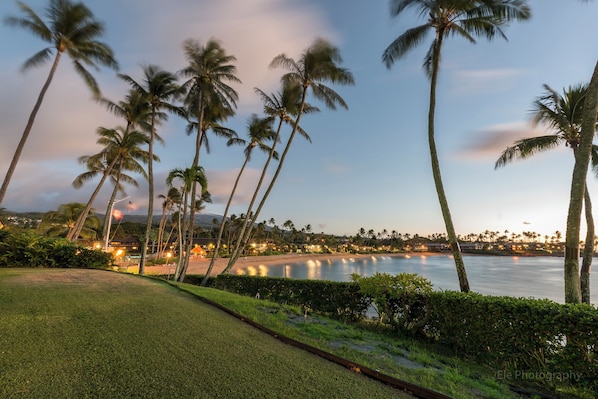 Oceanfront Unit with Grass