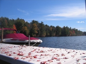 50 foot dock for two 28 foot boats. All views from the property are beautiful