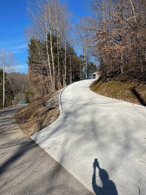 Concrete driveway
