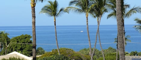 Ocean view from the lanai.  Have your breakfast here every day!