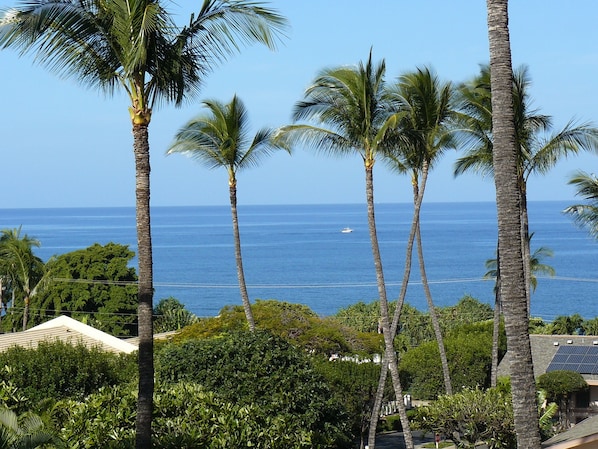 Ocean view from the lanai.  Have your breakfast here every day!