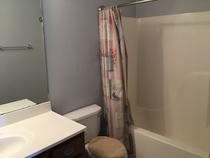 Master Bedroom Bathroom
