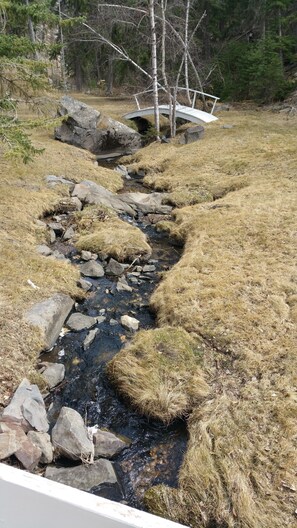 Our beautiful creek runs the perimeter of the cabin.