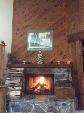 Den Fireplace