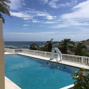 Our pool surrounded by palm trees and sea views.