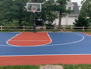 Professionally painted half court with Goalrilla 72inch backboard.   