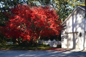 Autumn in Pinehurst