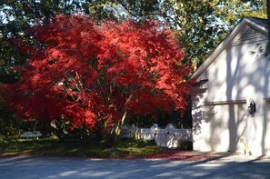 Autumn in Pinehurst