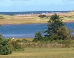 Beach and ocean view from the cottage deck. This is your actual view!!!